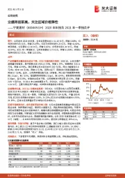 2020年年报及2021年一季报点评：业绩再创新高，关注区域价格弹性