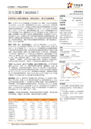 阶段性投入导致业绩波动，期待全球化、多元化成果落地