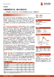 2020年年报及2021年一季报点评：业绩短期表现不佳，看好长期成长性