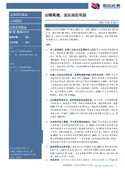 业绩高增,龙头地位巩固