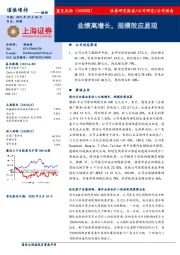 业绩高增长,规模效应显现