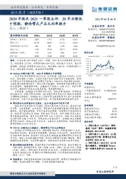 2020年报及2021一季报点评：20年业绩低于预期，静待臂式产品毛利率提升