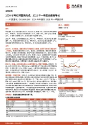 2020年年报及2021年一季报点评：2020年降杠杆圆满完成，2021年一季度业绩高增长