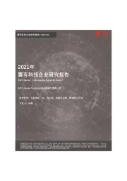 2021年震有科技企业研究报告