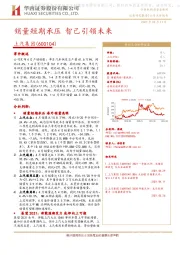 销量短期承压 智己引领未来