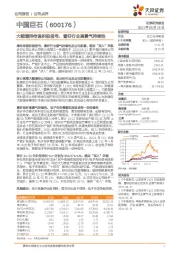 大额增持传递积极信号，看好行业高景气持续性
