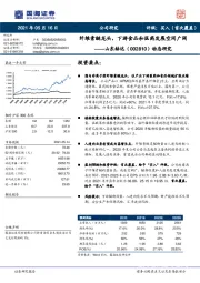 动态研究：纤维素醚龙头，下游食品和医药发展空间广阔