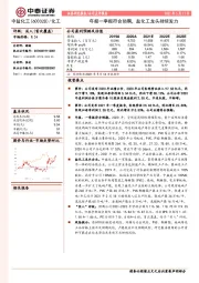 年报一季报符合预期，盐化工龙头持续发力