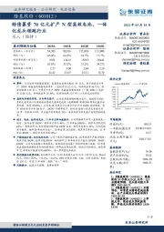 转债募资70亿元扩产N型高效电池,一体化龙头领跑行业