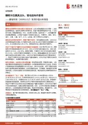 投资价值分析报告:精密冲压模具龙头,锂电结构件新秀