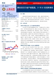 募投项目打破产能瓶颈，21年Q1实现高增长