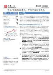 高瓴/松柏战投落地，种植牙迎国货之光