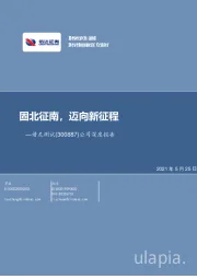 公司深度报告：固北征南，迈向新征程