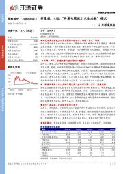 公司深度报告：新星徽：打造“跨境电商版小米生态链”模式