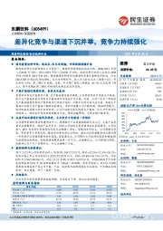 差异化竞争与渠道下沉并举，竞争力持续强化