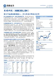 国内平板探测器领航人，多元布局开辟成长空间