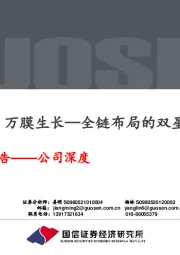 基材之上,万膜生长—全链布局的双星新材