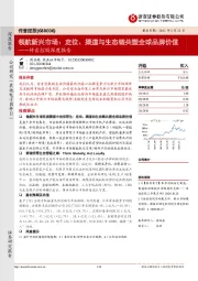 传音控股深度报告：领航新兴市场：定位、渠道与生态链共塑全球品牌价值