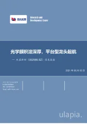 深度报告:光学膜积淀深厚,平台型龙头起航