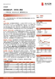跟踪研究之五:期权激励出炉,目标收入提速