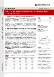 浙江鼎力点评报告:定增15亿再扩高端高空作业平台产能;中长期投资价值显现