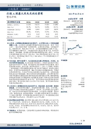 新股研究报告:打造A股最大风电光伏运营商