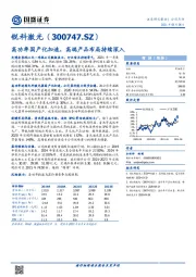 高功率国产化加速，高端产品布局持续深入