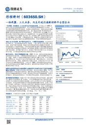 一体两翼、三大业务，内生外延打造新材料平台型企业