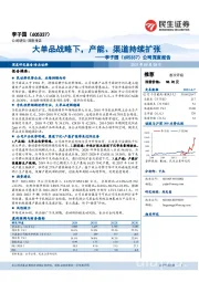 公司深度报告：大单品战略下，产能、渠道持续扩张