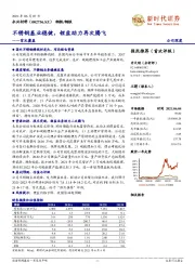 首次覆盖:不锈钢基业稳健,锂盐助力再次腾飞
