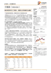 隐形冠军系列之万里扬：我国自主变速器龙头崛起