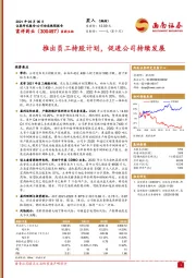 推出员工持股计划，促进公司持续发展