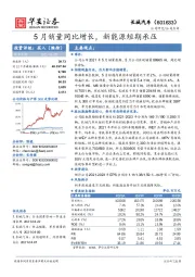 5月销量同比增长，新能源短期承压