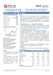 定增落地助力发展，一体化布局深化盈利能力