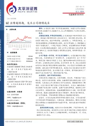 Q2业绩超预期，龙头公司持续成长