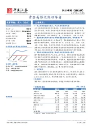 贵金属催化剂领军者