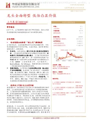 龙头全面转型 低估凸显价值