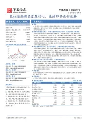 股权激励彰显发展信心，业绩即将底部反转