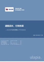 公司深度报告：道阻且长，行则将至