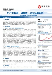 事件点评:扩产电解液、磷酸铁,龙头扬帆起航