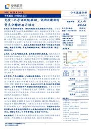 光伏+半导体双轮驱动,混改&激励有望充分释放公司活力