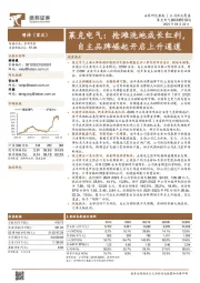 莱克电气：抢滩洗地成长红利，自主品牌崛起开启上升通道