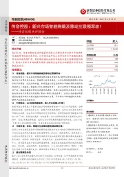 传音控股点评报告：新兴市场智能终端及移动互联领军者！