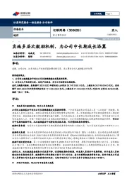 重大事件快评：实施多层次激励机制，为公司中长期成长添翼