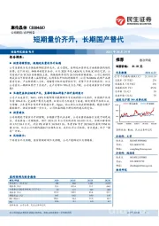 短期量价齐升,长期国产替代