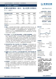定增加码前驱体一体化,龙头竞争力再强化