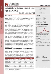 点评报告：大规模投资扩建计划上线，持续加码下游新材料完善产业布局