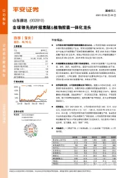 全球领先的纤维素醚&植物胶囊一体化龙头