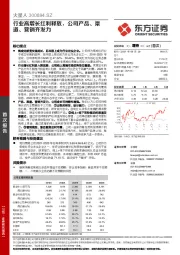 行业高增长红利释放，公司产品、渠道、营销齐发力