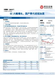 Q2大幅增长，国产替代进程加速